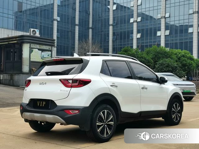 Kia Yi Ran id 4359047 из Китая 18