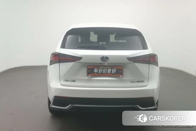 Lexus NX id 4210618 из Китая 20