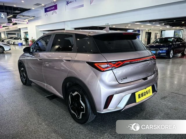 BYD dolphin id 4241378 из Китая 13