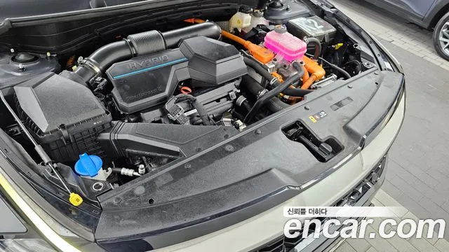 Kia Sportage 5th Generation Hybrid id 2817119 из Кореи 16