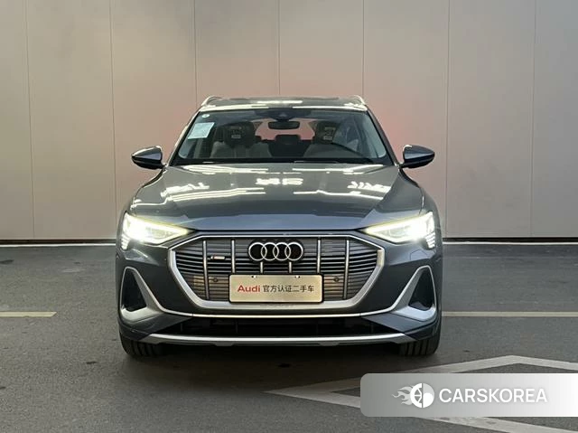 Audi e-tron id 4259096 из Китая 15