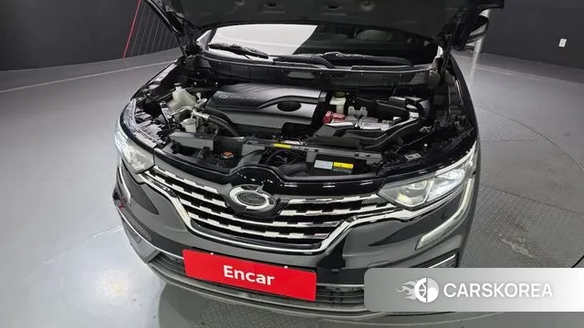 Renault Korea (Samsung) The New QM6 id 3412658 из Кореи 16