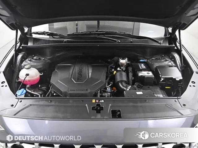 Hyundai The New Santa Fe id 3037859 из Кореи 16