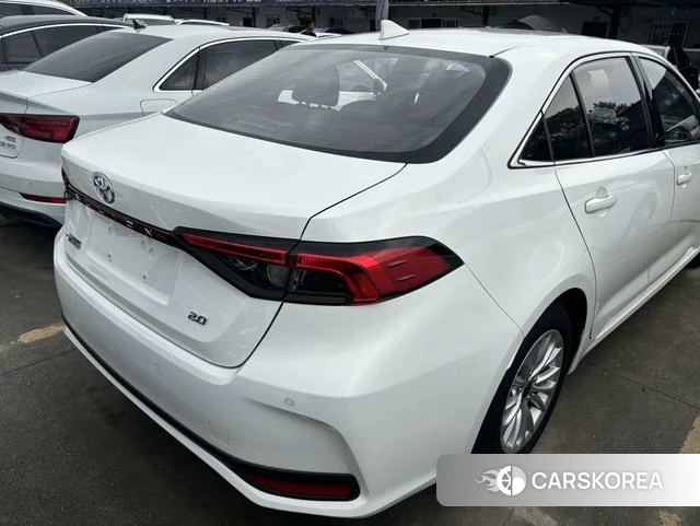 Toyota Asian lion id 4307446 из Китая 14