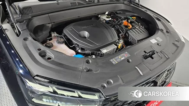 Renault Korea (Samsung) Grand Coleos id 3377243 из Кореи 16