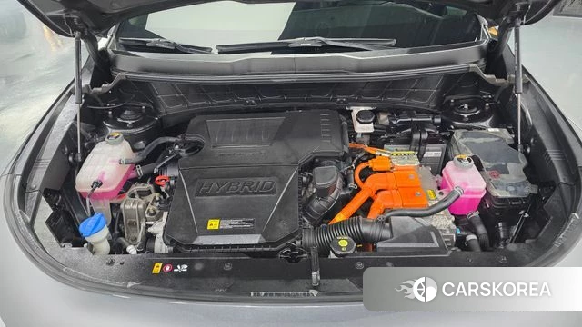Kia Di Ol Nu Niro id 4763905 из Кореи 28
