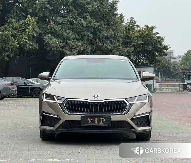 Skoda Octavia id 4380370 из Китая 22