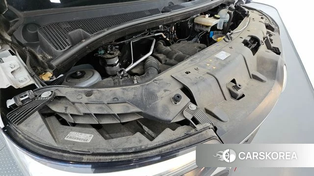 Renault Korea (Samsung) Master id 3877729 из Кореи 16