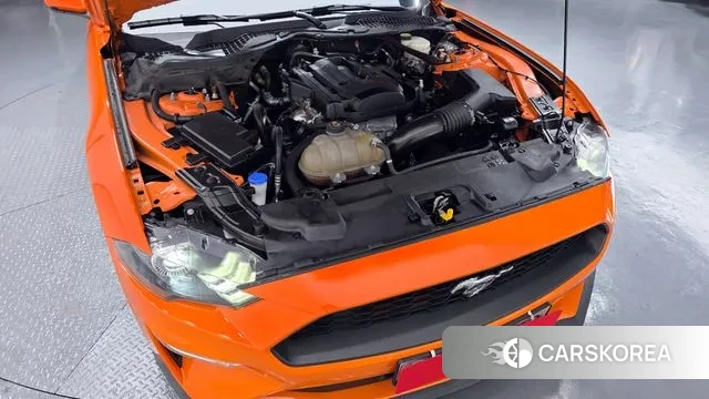 Ford Mustang id 3479701 из Кореи 16