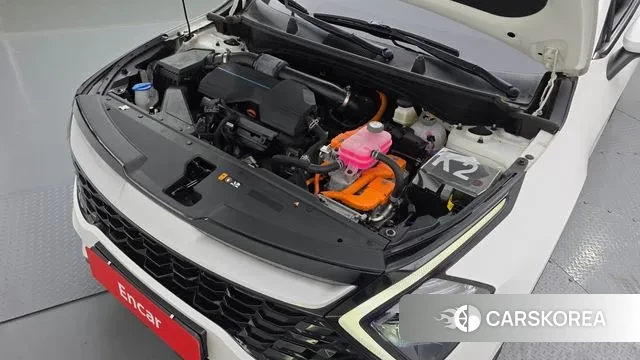 Kia Sportage 5th Generation Hybrid id 3452806 из Кореи 16