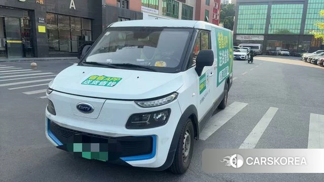 Kairui Dolphin EV 2020 Белый из Китая, фото 6