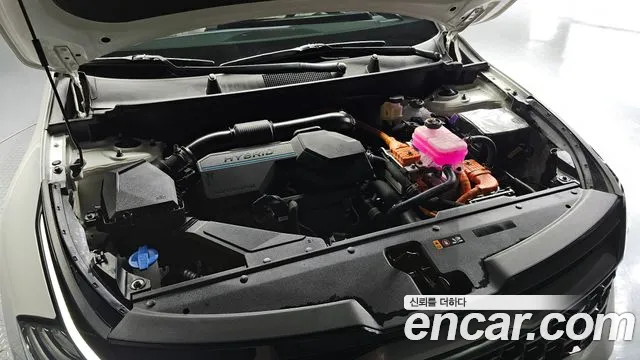 Kia Sportage 5th Generation Hybrid id 2642079 из Кореи 16