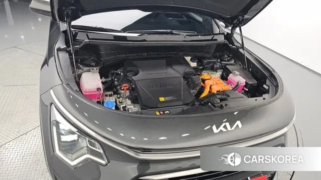 Kia Di Ol Nu Niro id 3585490 из Кореи 16