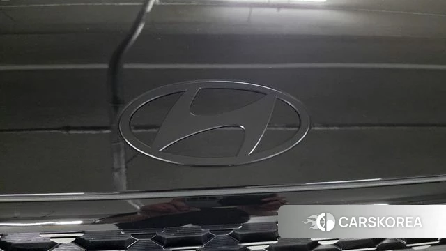 Hyundai Santa Fe (MX5) id 4710598 из Кореи 16