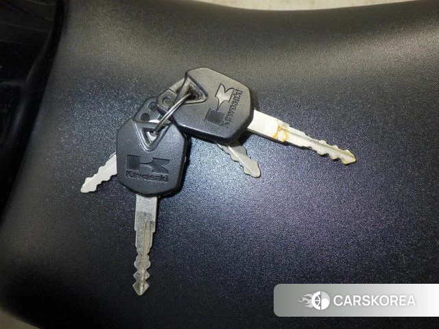 Kawasaki NINJA 250 id 3946966 из Японии 28