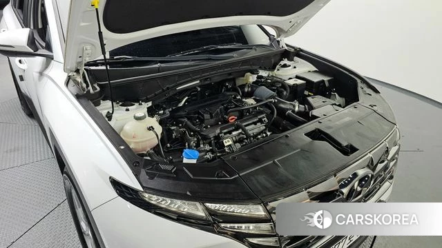 Hyundai Tucson (NX4) id 3910502 из Кореи 16