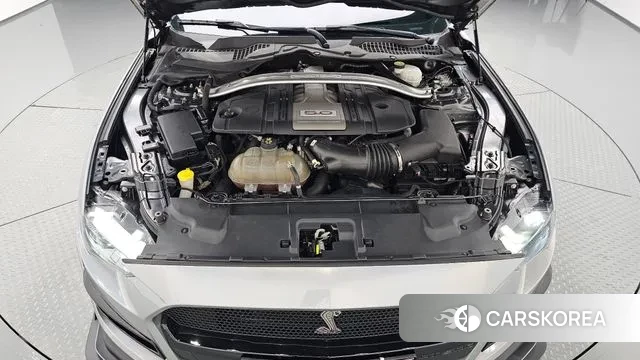 Ford Mustang id 3029475 из Кореи 16