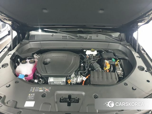 Renault Korea (Samsung) Filant id 4387716 из Кореи 16