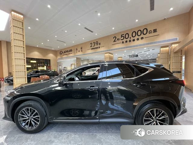 Lexus NX id 4262177 из Китая 13