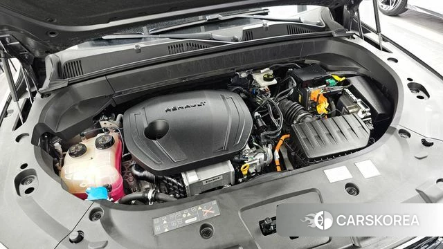 Renault Korea (Samsung) Grand Coleos id 3858416 из Кореи 16