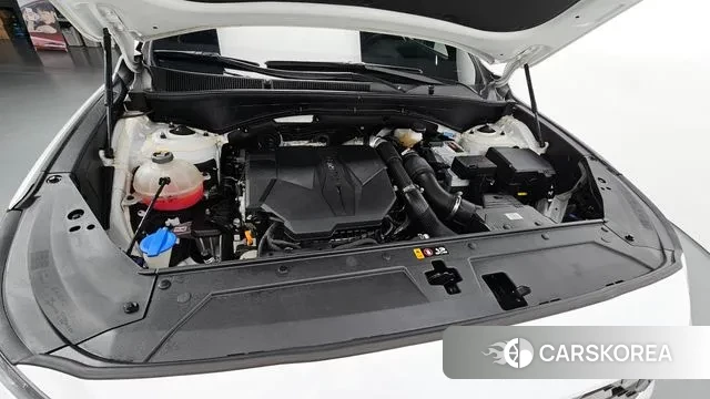 Hyundai The New Santa Fe id 3556687 из Кореи 16