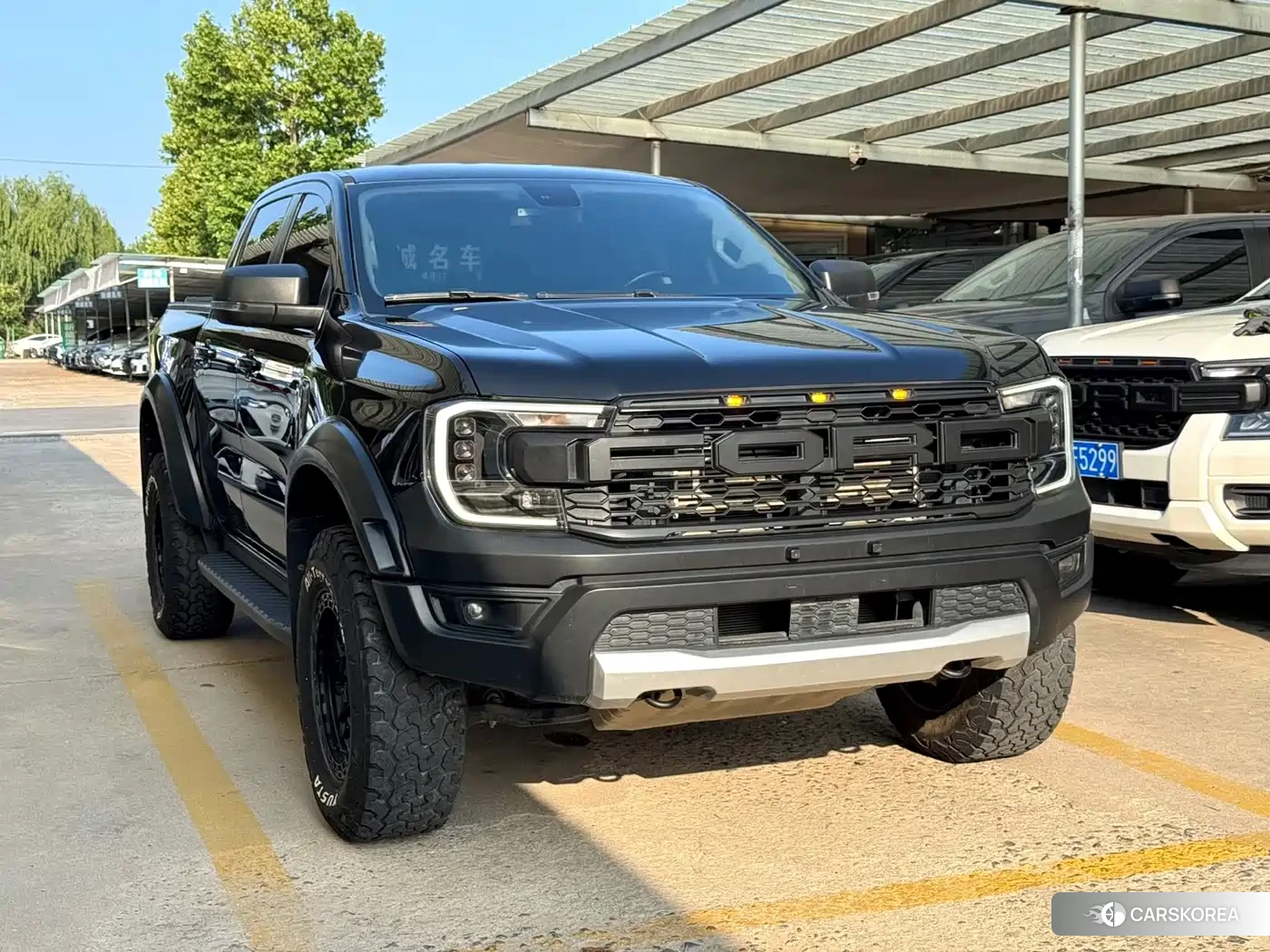 Ford Ranger Ranger id 4546604 из Китая 13