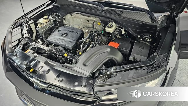 Chevrolet (GM Daewoo) Trailblazer id 3865900 из Кореи 16