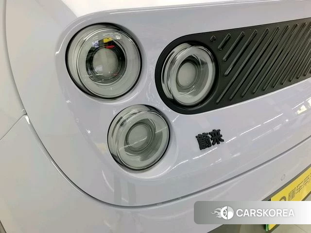 firefly firefly Unknown id 4190398 из Китая 16