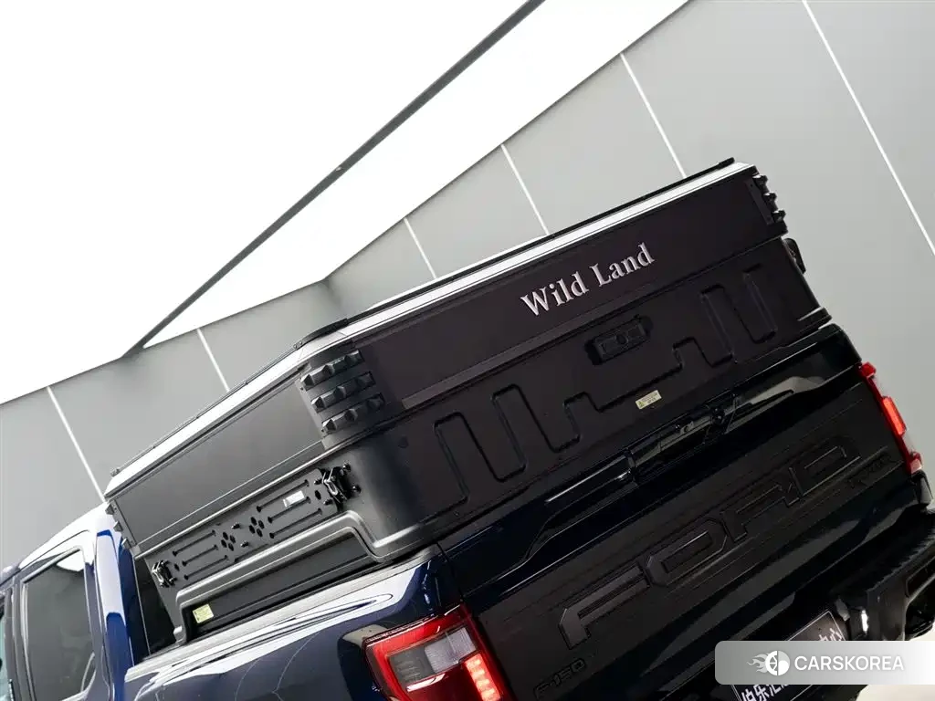 Ford F-150 Raptor id 4547385 из Китая 17