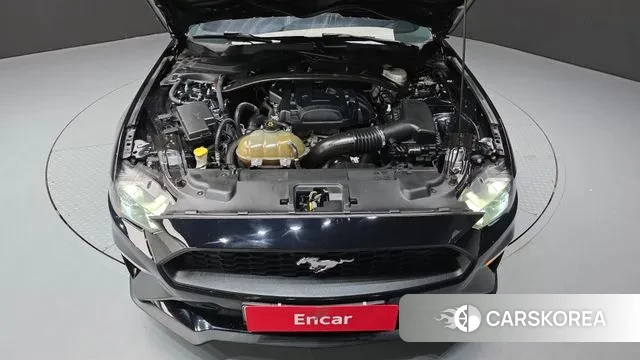 Ford Mustang id 3380296 из Кореи 16