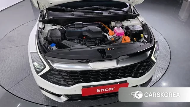 Kia Sportage 5th Generation Hybrid id 3052800 из Кореи 16