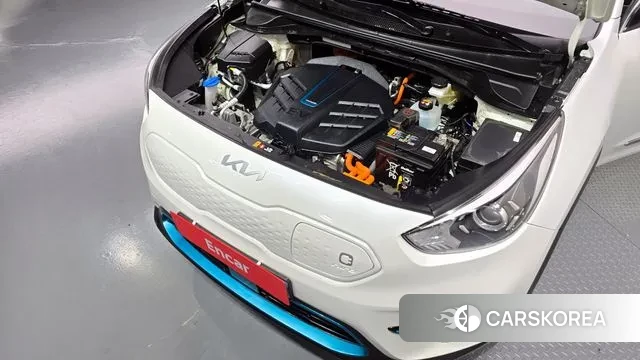 Kia Niro EV id 3401553 из Кореи 16