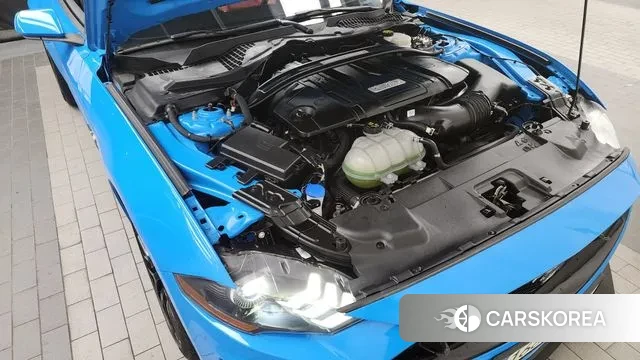 Ford Mustang id 3400657 из Кореи 16