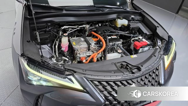 Lexus UX300e id 3941028 из Кореи 16