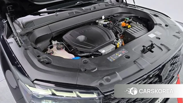 Renault Korea (Samsung) Grand Coleos id 3757954 из Кореи 16