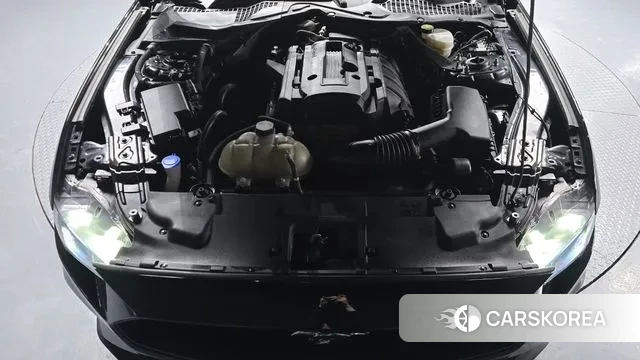 Ford Mustang id 3639243 из Кореи 16