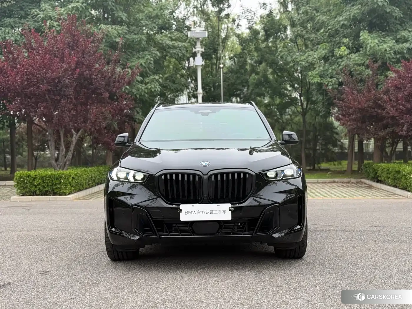 BMW X5 id 4548220 из Китая 9