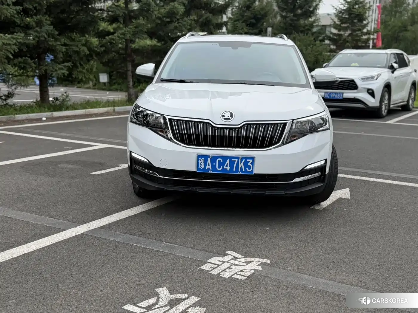 Skoda Kamiq id 4655181 из Китая 15