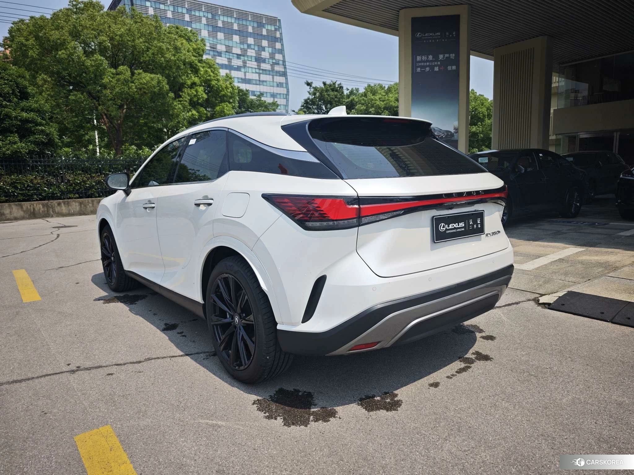 Lexus RX id 4512434 из Китая 15