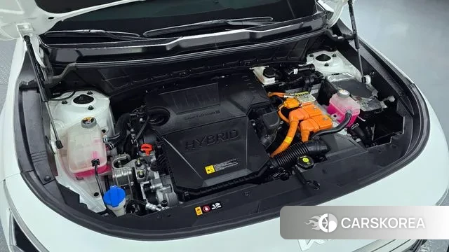 Kia Di Ol Nu Niro id 3443271 из Кореи 16