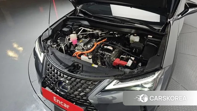 Lexus UX300e id 3721753 из Кореи 16