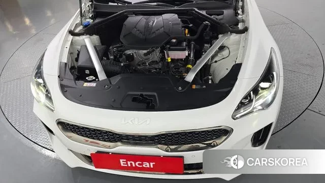 Kia Stinger Meister id 3606942 из Кореи 16