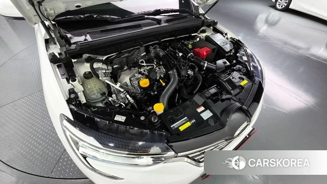 Renault Korea (Samsung) XM3 id 4882014 из Кореи 29