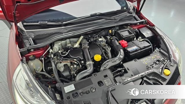 Renault Korea (Samsung) Clio id 4196842 из Кореи 26