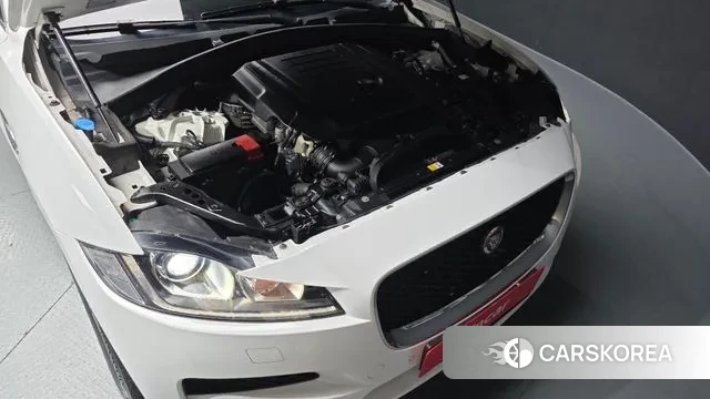 Jaguar F-PACE id 3531404 из Кореи 16