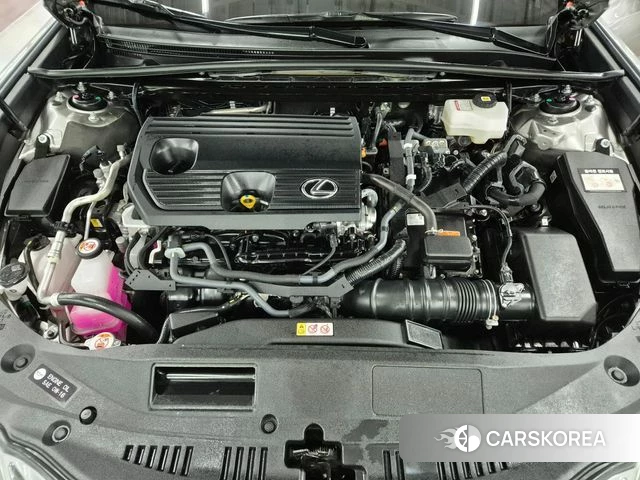 Lexus ES300h 7th generation id 3877508 из Кореи 16