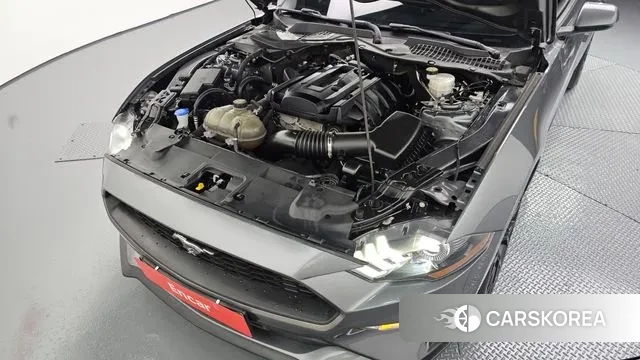 Ford Mustang id 3349729 из Кореи 16