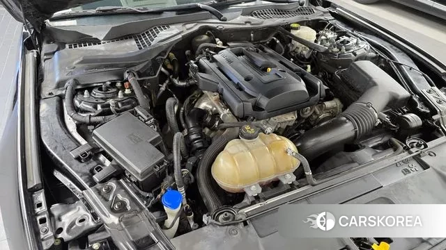 Ford Mustang id 3444294 из Кореи 16