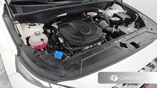 Hyundai The New Santa Fe id 3022172 из Кореи 16