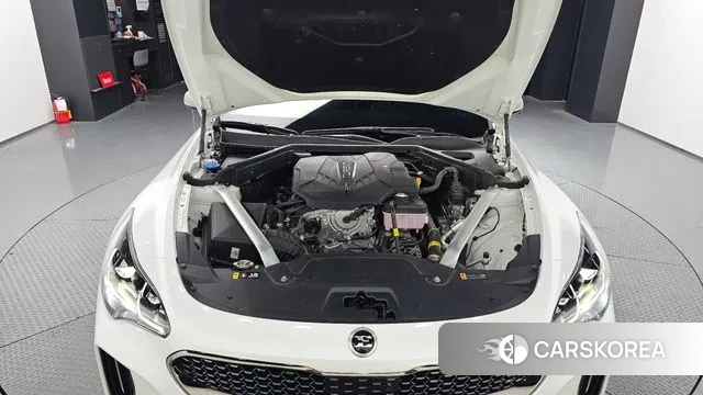 Kia Stinger Meister id 3534951 из Кореи 16